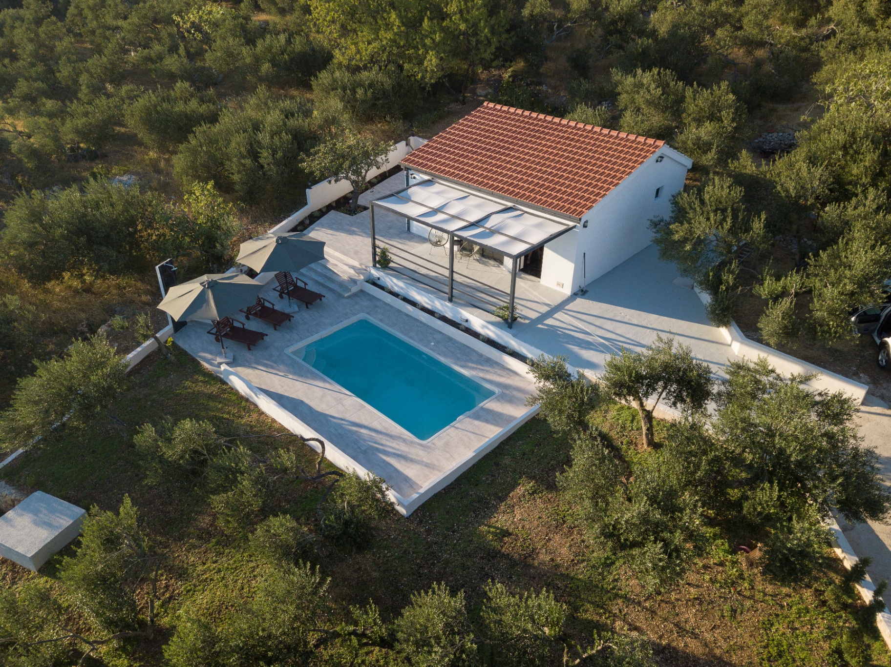 Olive Lounge House