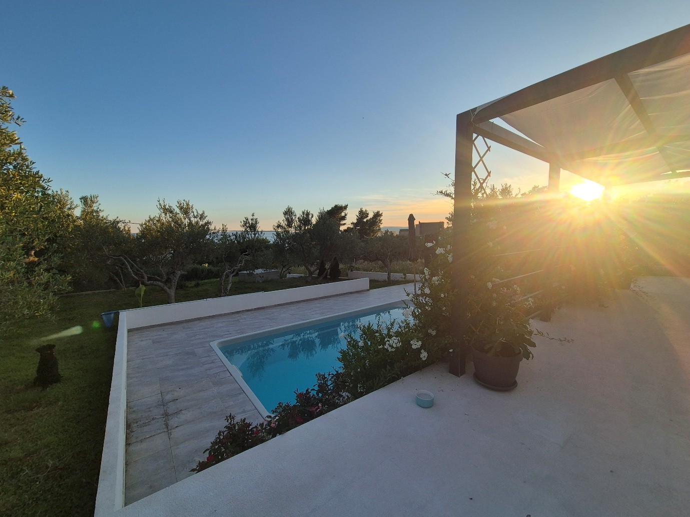 Villa pool at sunset surrounded by olive trees above Makarska